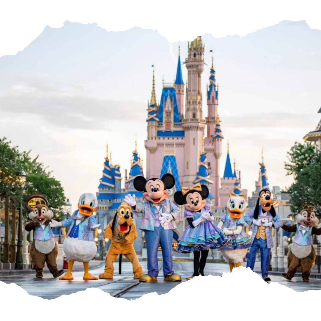 Entradas a Disney